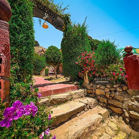 Hostal Sol Y Lago โกปากาบานา ภายนอก รูปภาพ